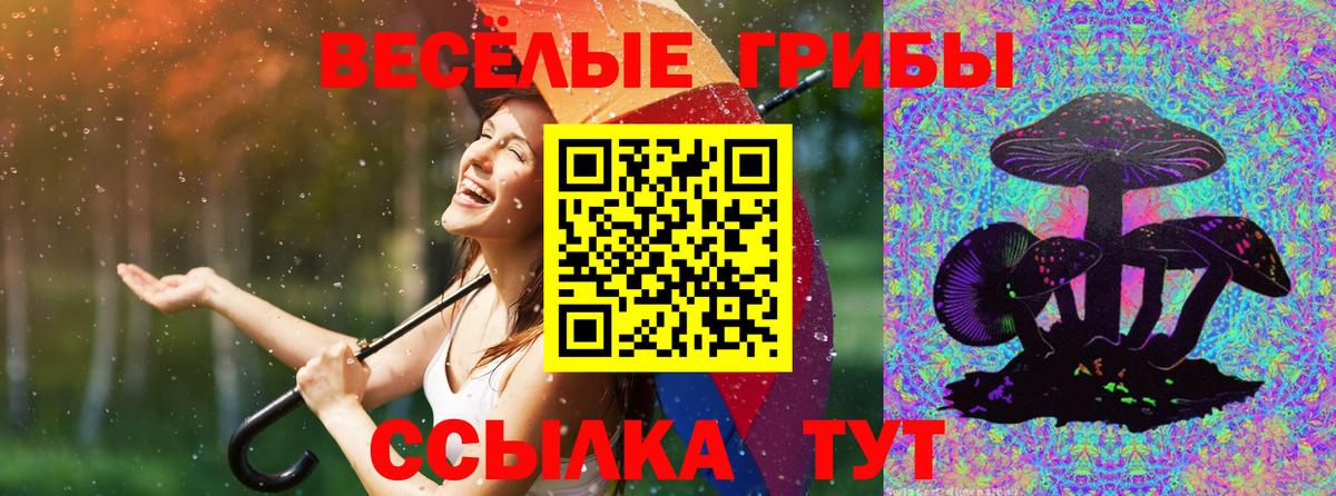 Галлюциногенные грибы Cubensis Карачаевск