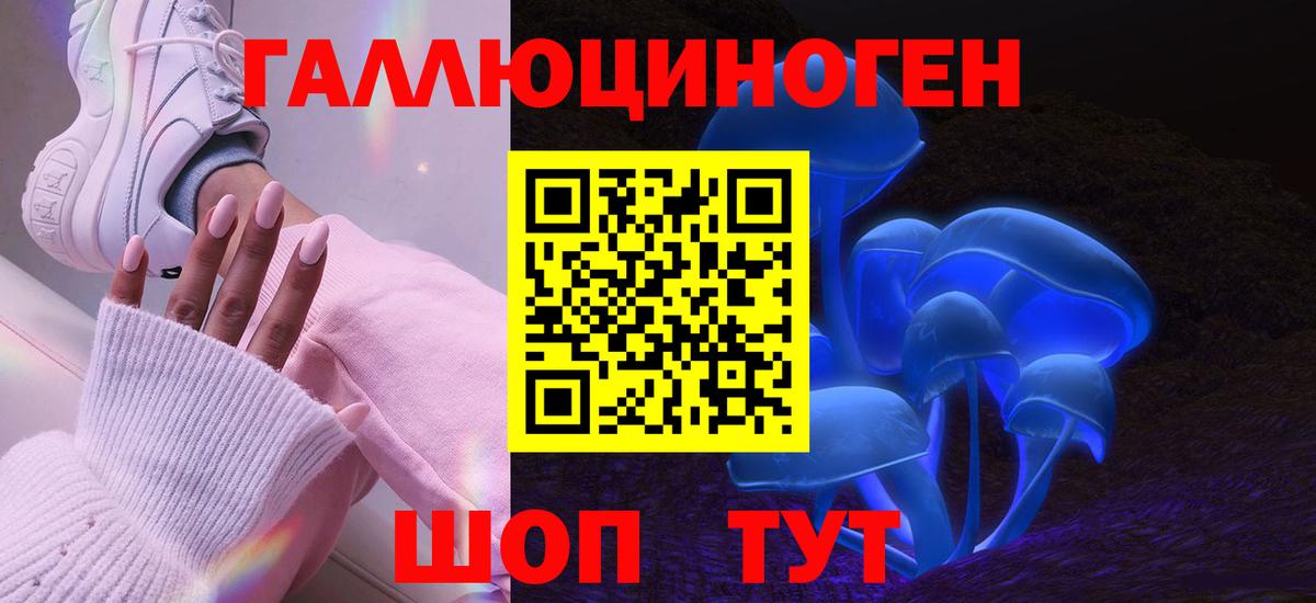 Карачаевск  Галлюциногенные грибы GOLDEN TEACHER  Галлюциногенные грибы ЛСД  где купить   Вход с VPN 